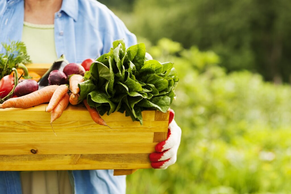 Blog - Saúde Alimentar - Alimentação Alcalina Conheça os 3 fatores essenciais para prevenir o cancro - Artigo para workshop - Centro Quiroprático Nova Vida