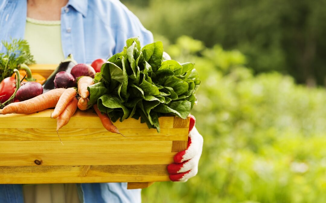 A importancia da alimentação alcalina na prevenção das doenças